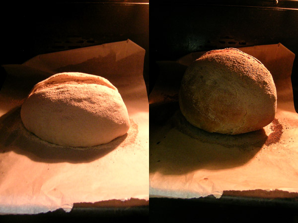 El pan subiendo en el horno