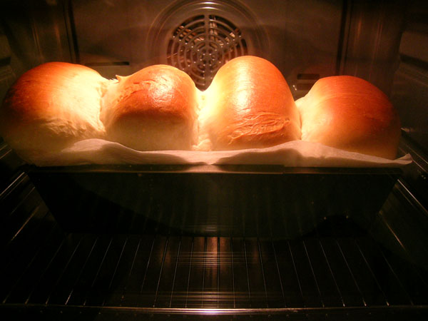 Pan de leche de Hokkaido