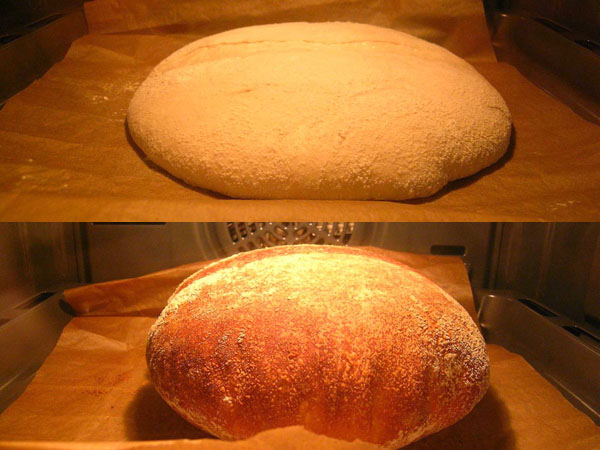 Primer pan para el hornito nuevo