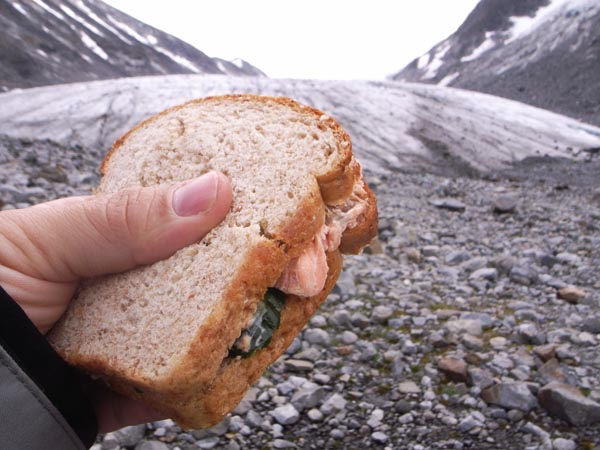 Sandwich deteniendo el avance del glaciar